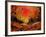 Sunset 4531-Pol Ledent-Framed Art Print