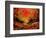 Sunset 4531-Pol Ledent-Framed Art Print