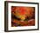 Sunset 4531-Pol Ledent-Framed Art Print