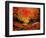 Sunset 4531-Pol Ledent-Framed Art Print