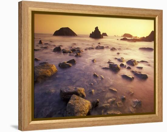 Sunset along Crescent Beach, California, USA-Darrell Gulin-Framed Premier Image Canvas