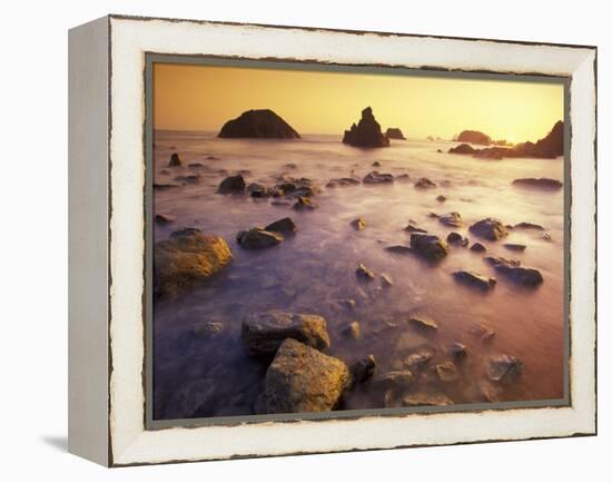 Sunset along Crescent Beach, California, USA-Darrell Gulin-Framed Premier Image Canvas