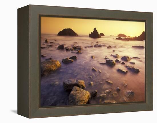 Sunset along Crescent Beach, California, USA-Darrell Gulin-Framed Premier Image Canvas