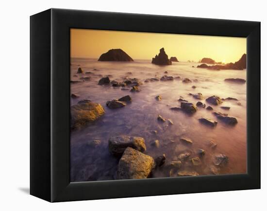 Sunset along Crescent Beach, California, USA-Darrell Gulin-Framed Premier Image Canvas