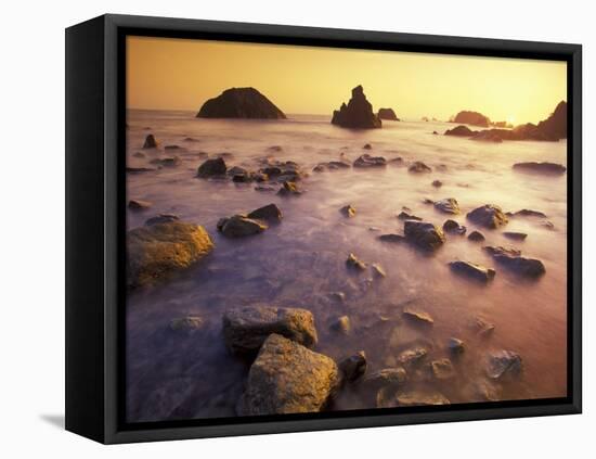 Sunset along Crescent Beach, California, USA-Darrell Gulin-Framed Premier Image Canvas