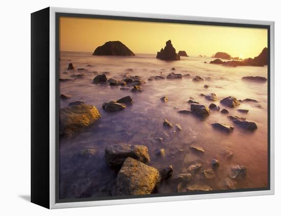 Sunset along Crescent Beach, California, USA-Darrell Gulin-Framed Premier Image Canvas