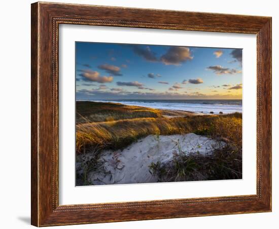 Sunset Along Moshup Beach, Martha's Vineyard with View of Ocean and Grass Blowing During Late Fall-James Shive-Framed Photographic Print