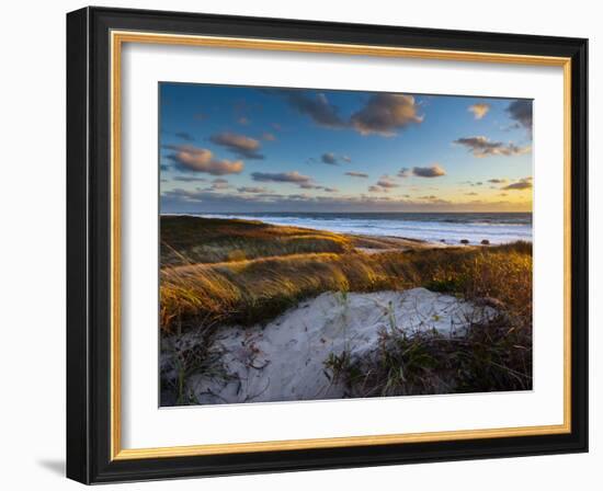 Sunset Along Moshup Beach, Martha's Vineyard with View of Ocean and Grass Blowing During Late Fall-James Shive-Framed Photographic Print