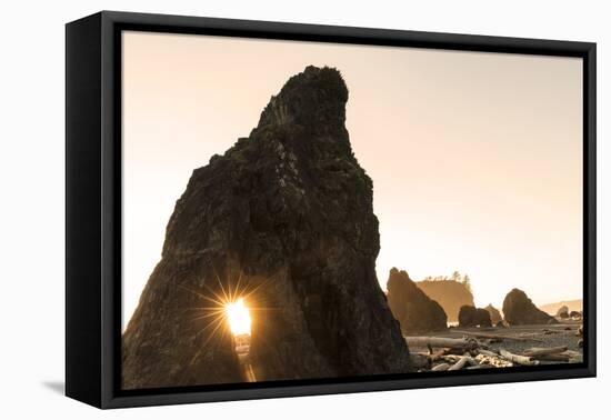 Sunset along sea stacks on Ruby Beach in Olympic National Park, Washington State, USA-Chuck Haney-Framed Premier Image Canvas