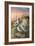 Sunset and Blooms-Trevor V. Swanson-Framed Giclee Print