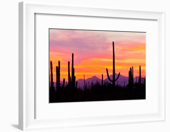 Sunset and Cactus Photograph-Lantern Press-Framed Art Print