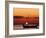 Sunset and Fishing Boats, Isla Mujeres, Mexico-Chris Rogers-Framed Photographic Print