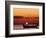 Sunset and Fishing Boats, Isla Mujeres, Mexico-Chris Rogers-Framed Photographic Print