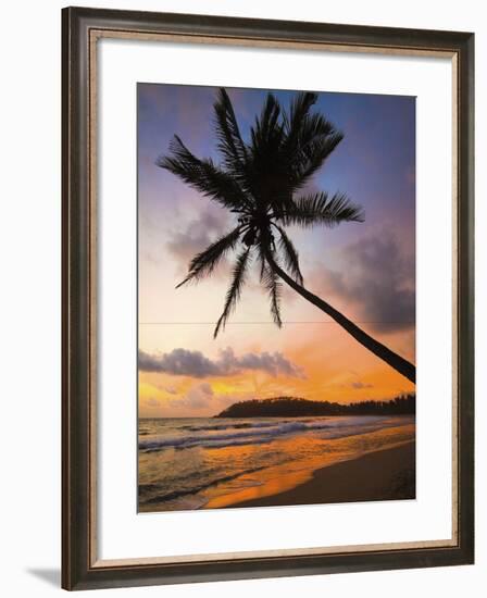 Sunset and Palm Tree and the Western Point of the South Coast Surf Beach at Mirissa, Near Matara, S-Robert Francis-Framed Photographic Print