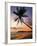 Sunset and Palm Tree and the Western Point of the South Coast Surf Beach at Mirissa, Near Matara, S-Robert Francis-Framed Photographic Print