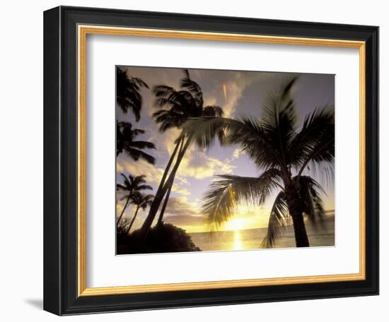 Sunset and Palm Tree, Kihei Beach, Maui, Hawaii, USA-Darrell Gulin-Framed Photographic Print