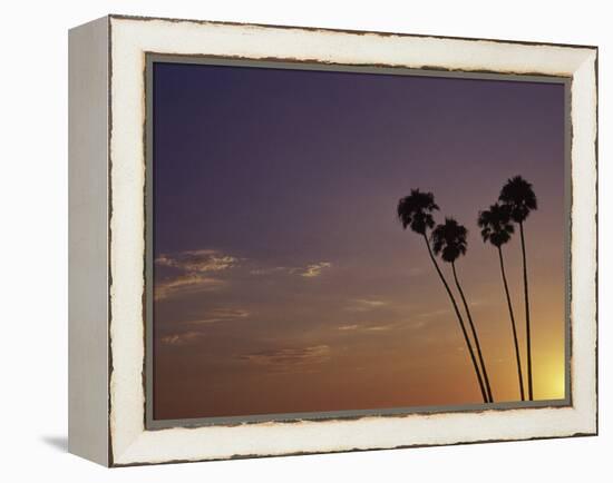 Sunset and Palm Trees, Laguna Beach, CA-Mitch Diamond-Framed Premier Image Canvas