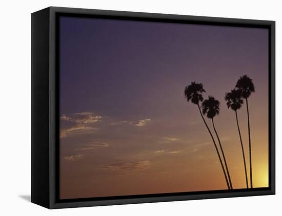 Sunset and Palm Trees, Laguna Beach, CA-Mitch Diamond-Framed Premier Image Canvas