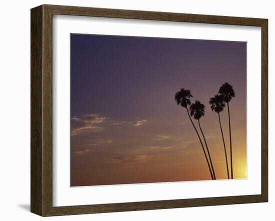 Sunset and Palm Trees, Laguna Beach, CA-Mitch Diamond-Framed Photographic Print