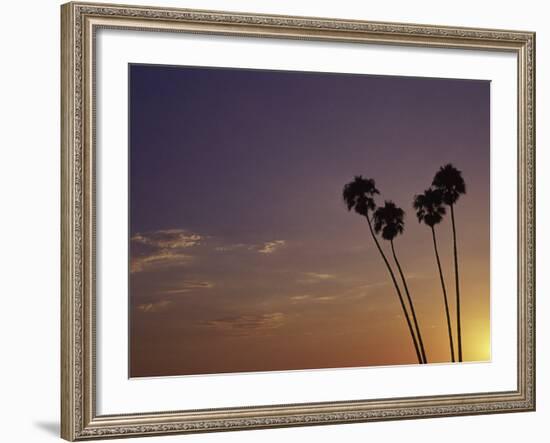 Sunset and Palm Trees, Laguna Beach, CA-Mitch Diamond-Framed Photographic Print