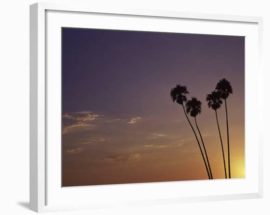 Sunset and Palm Trees, Laguna Beach, CA-Mitch Diamond-Framed Photographic Print