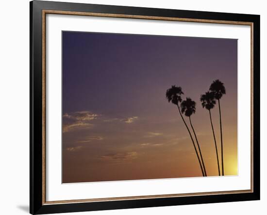 Sunset and Palm Trees, Laguna Beach, CA-Mitch Diamond-Framed Photographic Print