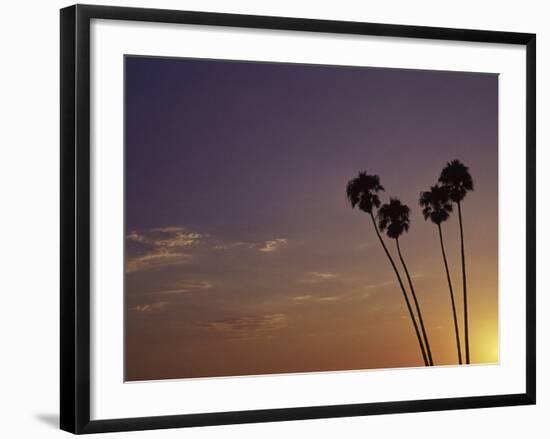 Sunset and Palm Trees, Laguna Beach, CA-Mitch Diamond-Framed Photographic Print