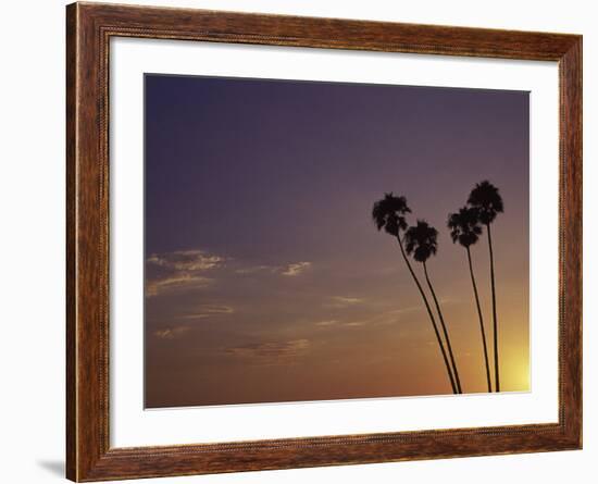 Sunset and Palm Trees, Laguna Beach, CA-Mitch Diamond-Framed Photographic Print