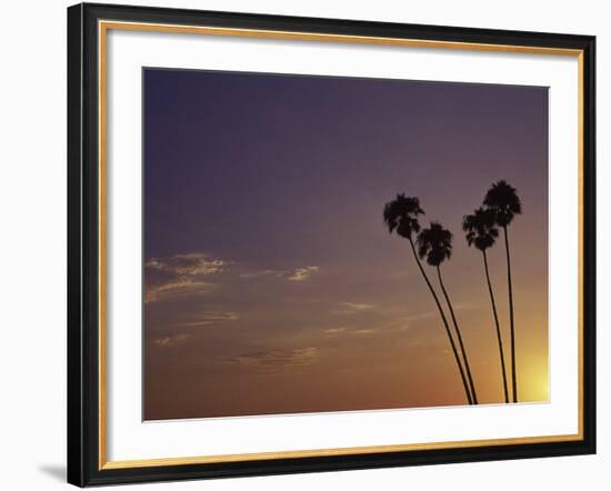 Sunset and Palm Trees, Laguna Beach, CA-Mitch Diamond-Framed Photographic Print