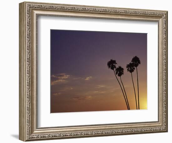 Sunset and Palm Trees, Laguna Beach, CA-Mitch Diamond-Framed Photographic Print