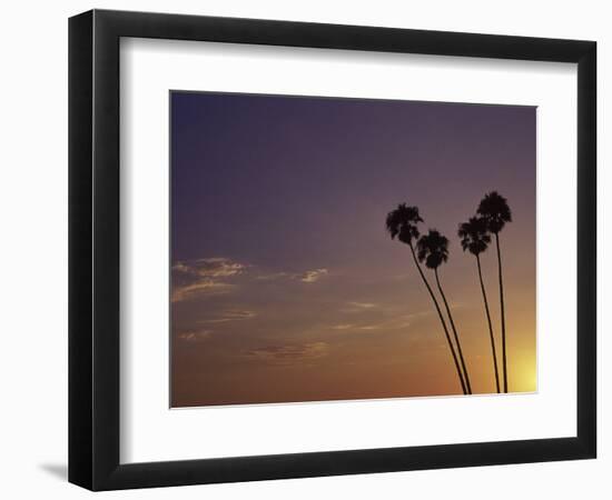 Sunset and Palm Trees, Laguna Beach, CA-Mitch Diamond-Framed Photographic Print