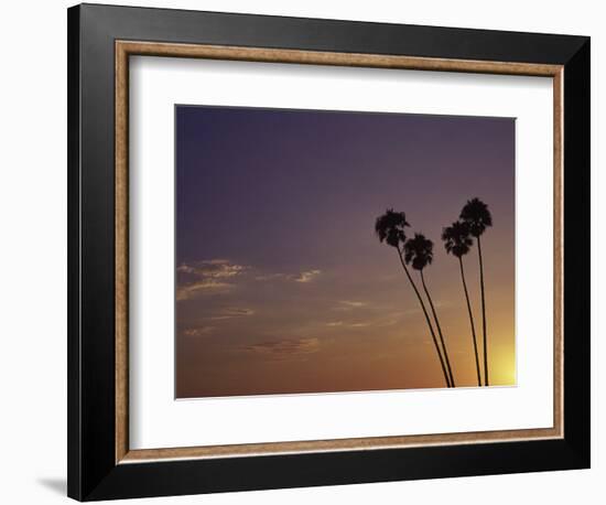 Sunset and Palm Trees, Laguna Beach, CA-Mitch Diamond-Framed Photographic Print