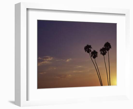 Sunset and Palm Trees, Laguna Beach, CA-Mitch Diamond-Framed Photographic Print