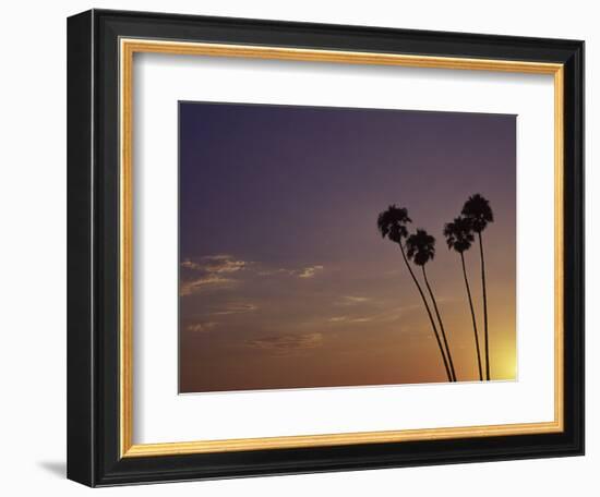 Sunset and Palm Trees, Laguna Beach, CA-Mitch Diamond-Framed Photographic Print