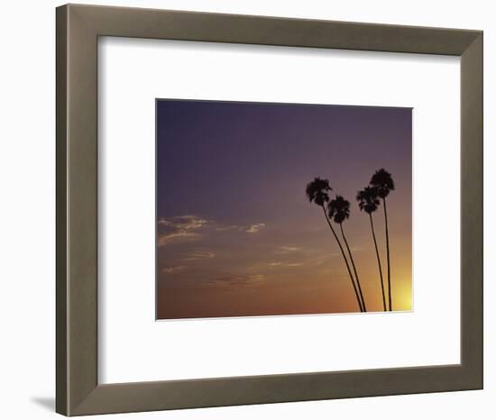 Sunset and Palm Trees, Laguna Beach, CA-Mitch Diamond-Framed Photographic Print