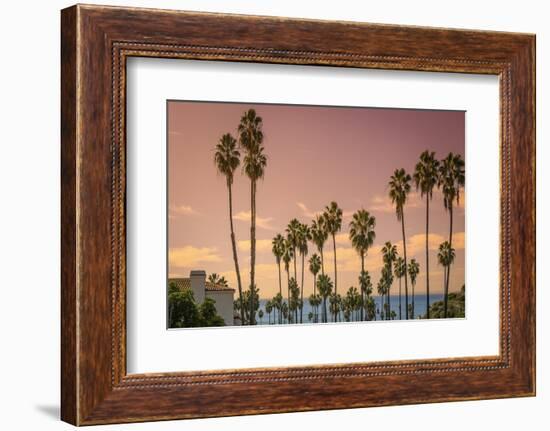Sunset and Palm Trees on the Beach against the Soft Pink Tropical Sky-Sanghwan Kim-Framed Photographic Print