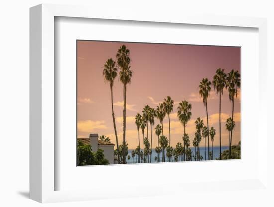 Sunset and Palm Trees on the Beach against the Soft Pink Tropical Sky-Sanghwan Kim-Framed Photographic Print