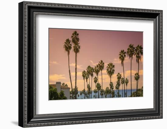 Sunset and Palm Trees on the Beach against the Soft Pink Tropical Sky-Sanghwan Kim-Framed Photographic Print