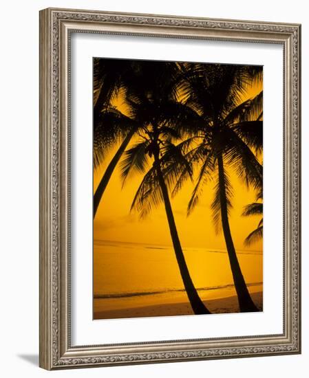 Sunset and Palms, San Juan, Puerto Rico-Bill Bachmann-Framed Photographic Print