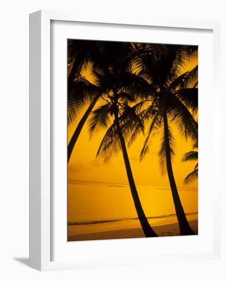 Sunset and Palms, San Juan, Puerto Rico-Bill Bachmann-Framed Photographic Print