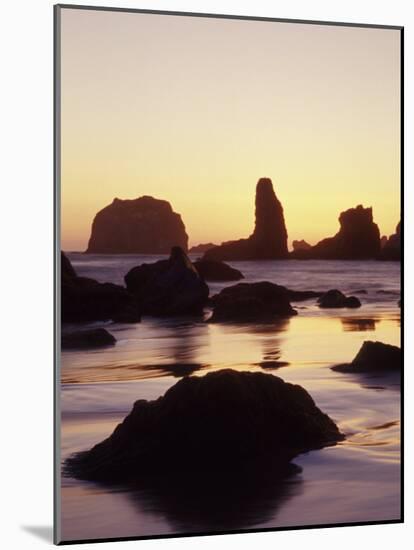 Sunset and Seastacks, Bandon Beach, Oregon, USA-Darrell Gulin-Mounted Photographic Print