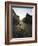 Sunset and Shadow of a Cyclist on Cobbled Street, Old Town, UNESCO World Heritage Site, Bruges-Christian Kober-Framed Photographic Print