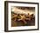 Sunset and Starfish on Surf Line, Maui, Hawaii, USA-Darrell Gulin-Framed Photographic Print