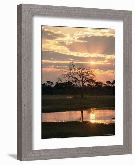Sunset and Waterhole, Hwange National Park, Zimbabwe, Africa-Sergio Pitamitz-Framed Photographic Print