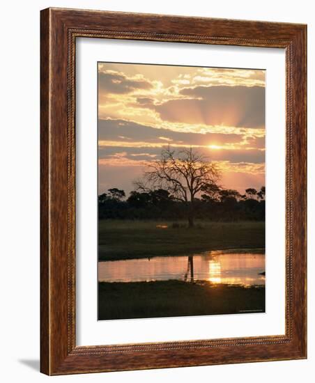 Sunset and Waterhole, Hwange National Park, Zimbabwe, Africa-Sergio Pitamitz-Framed Photographic Print