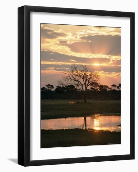 Sunset and Waterhole, Hwange National Park, Zimbabwe, Africa-Sergio Pitamitz-Framed Photographic Print