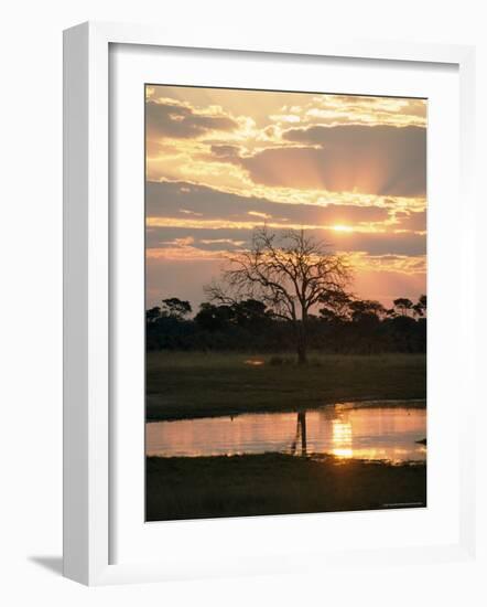 Sunset and Waterhole, Hwange National Park, Zimbabwe, Africa-Sergio Pitamitz-Framed Photographic Print