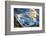 Sunset and Waves at Sunset Cliffs in San Diego, Ca-Andrew Shoemaker-Framed Photographic Print