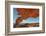 Sunset Arch Grand Staircase Escalante National Monument-Alan Majchrowicz-Framed Photographic Print