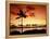 Sunset at Anaehoomalu Bay-James Randklev-Framed Premier Image Canvas